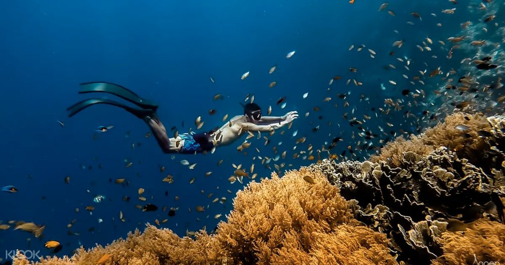 12 Of The Most Mesmerizing Diving Spots Near Manila | Diving ...