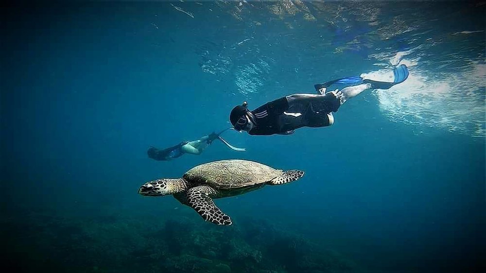 12 Of The Most Mesmerizing Diving Spots Near Manila Diving