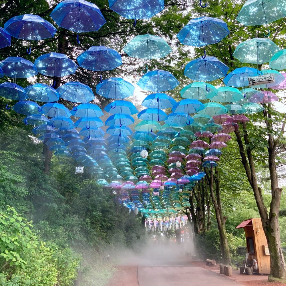 アンブレラスカイ 夏バージョン 全景