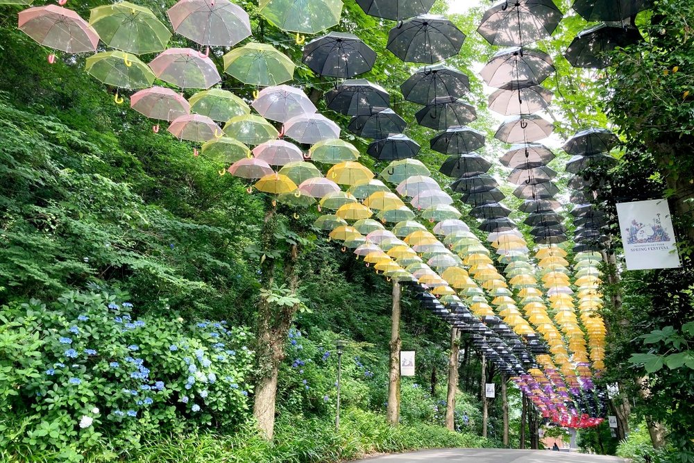 メッツァヴィレッジでも6月12日(土)からアンブレラスカイが始まっています