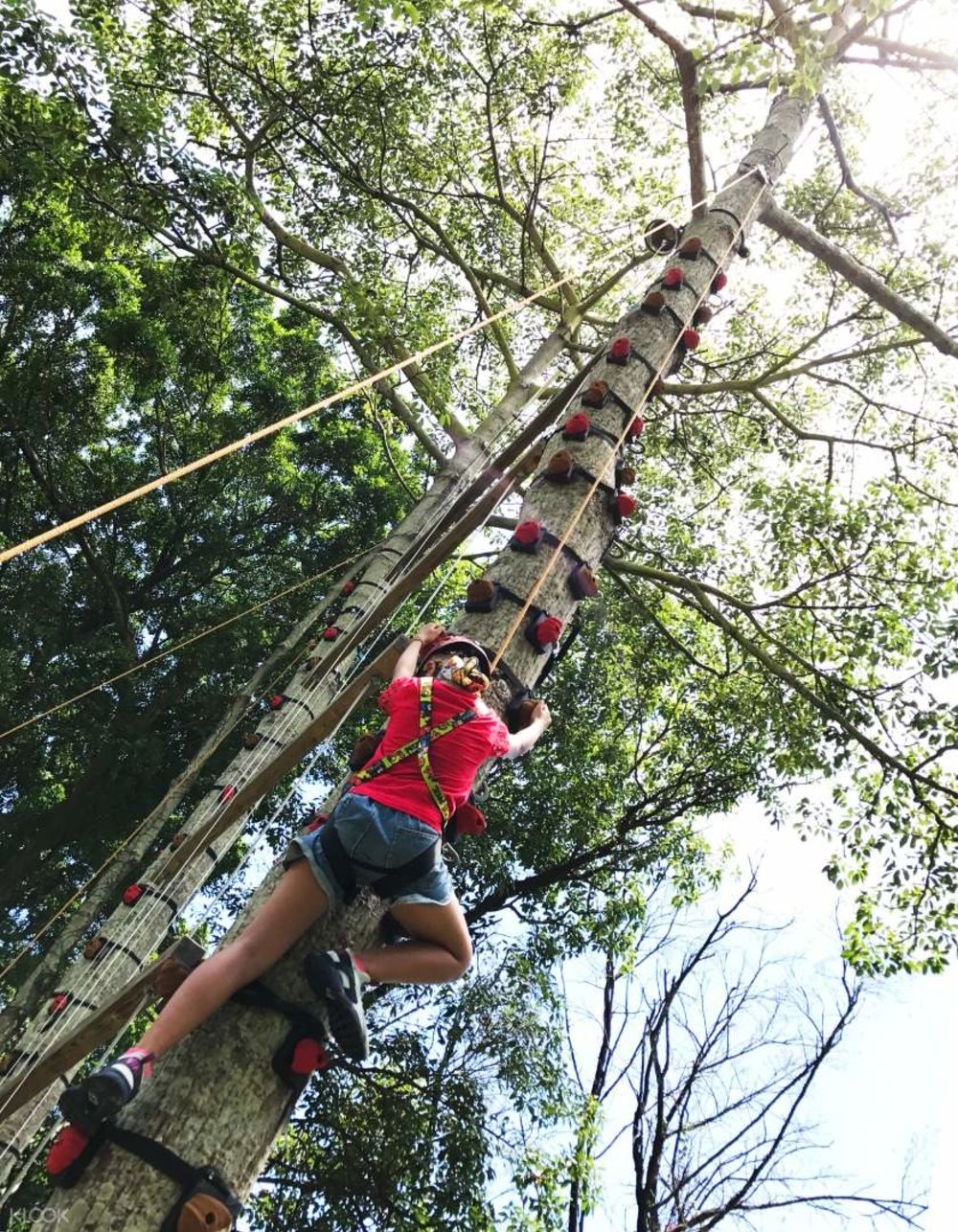 Saiyuen tree climbing