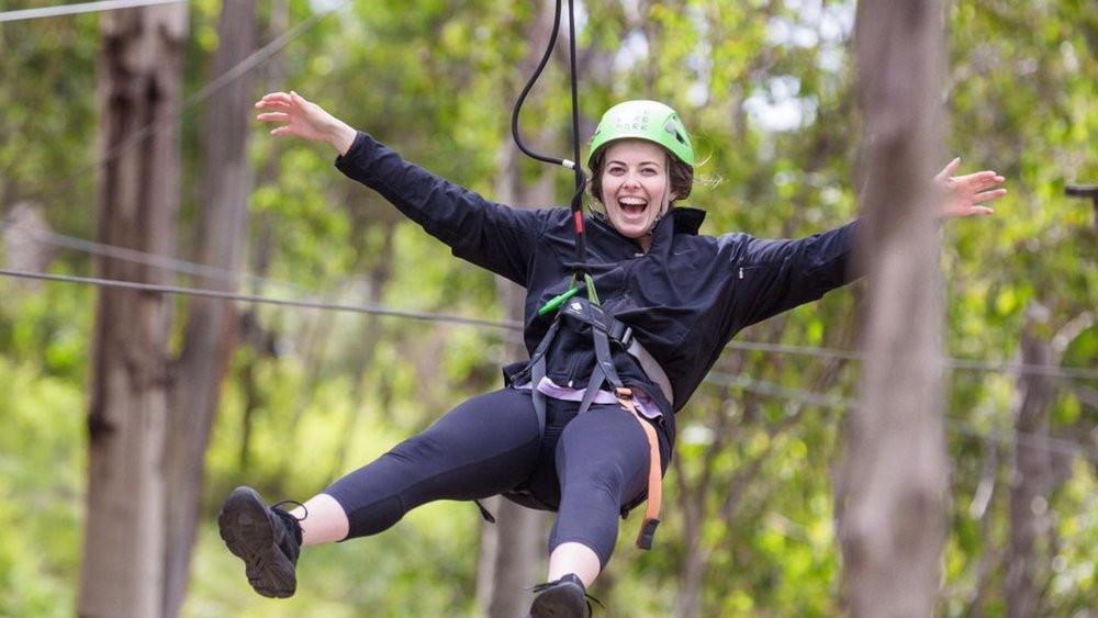 Have a fun time at Live Wire Park! Image credits: @livewirepark