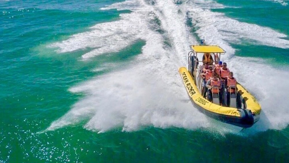 Feel the breeze and the splashes of water while marvelling at the beauty of the Noosa coast. Image credits @noosaoceanrider on Instagram