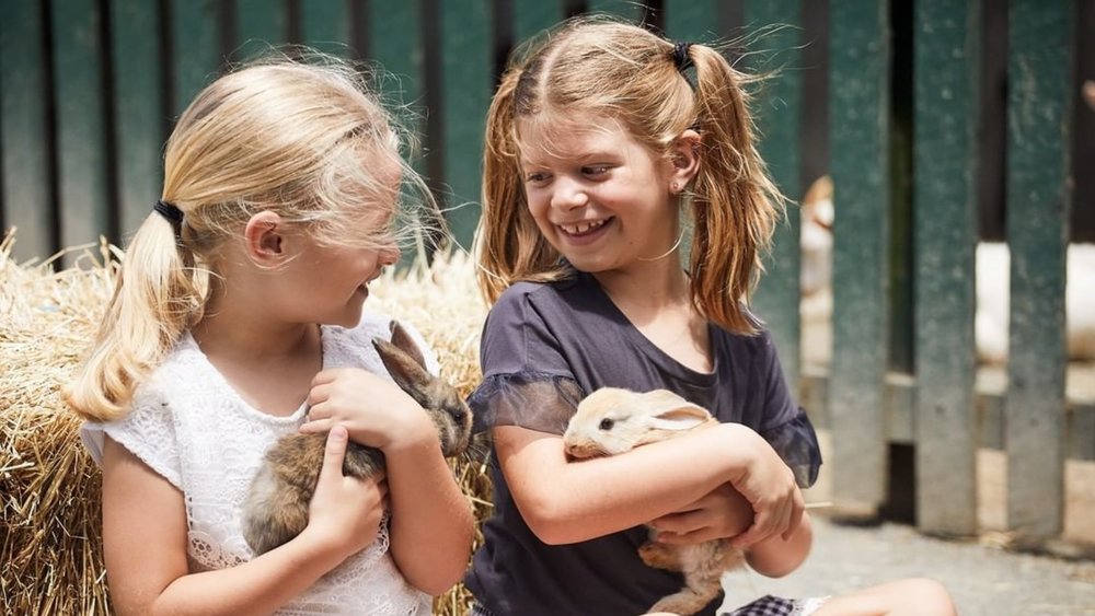 Make some furry friends at Oakvale! Image credits: @oakvalewildlifepark on Instagram