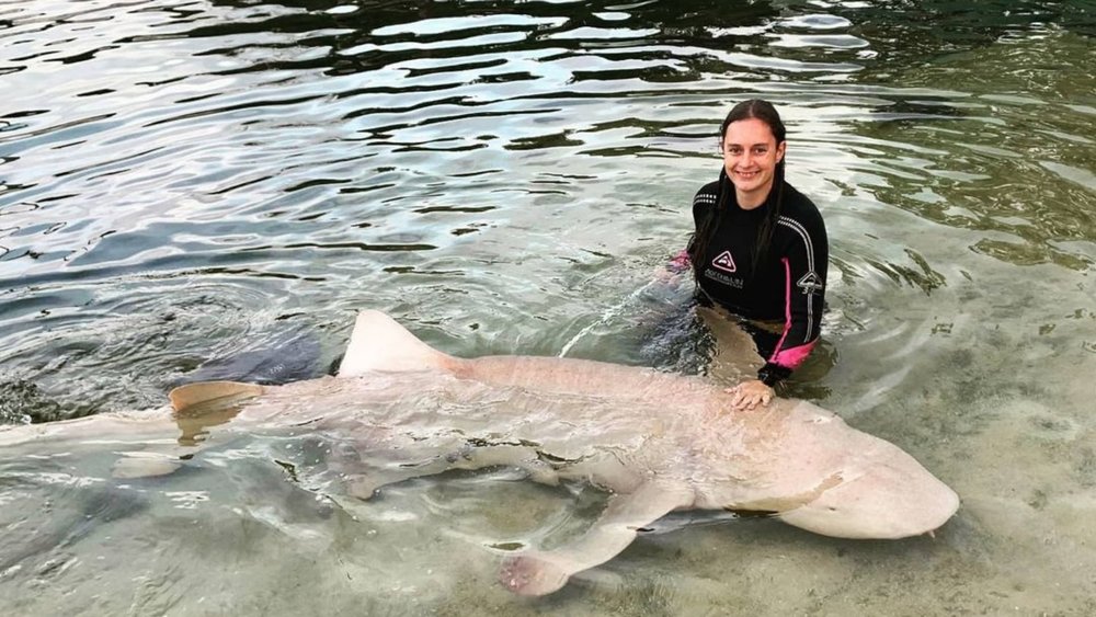 Swim with the sharks and rays at Irukandji. Image credits: @irukandji_sharknray on Instagram