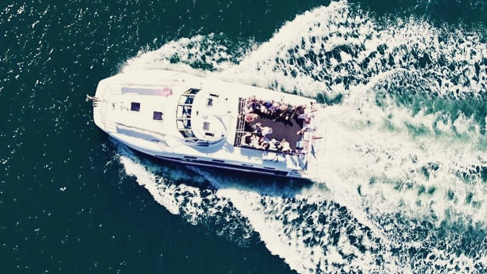 Watch the pods of humpback whales make their way through Newcastle during migration season. Image credits: @novacruises on Instagram