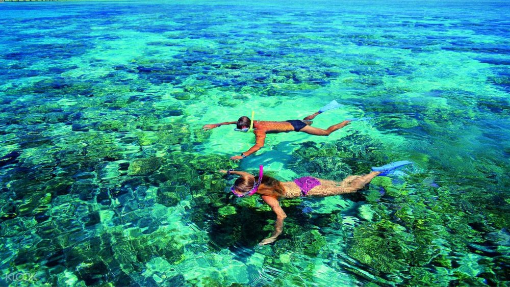 Green Island Reef is another must-visit destination in Cairns!