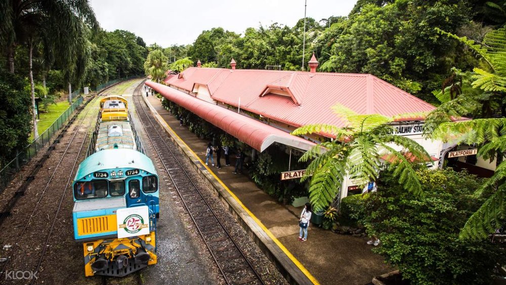 Take a train to Kuranda and be in awe at the greenery 