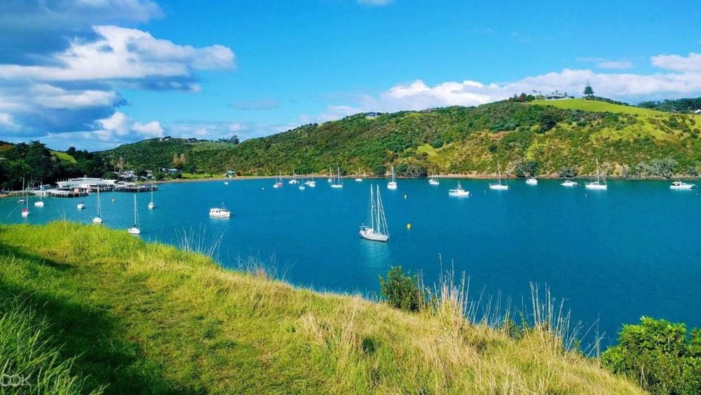 Discover the beauty of Matiatia Bay from this ferry cruise!