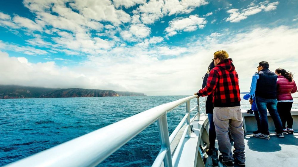 Set sail for Wineglass Bay in this splendid cruise tour!