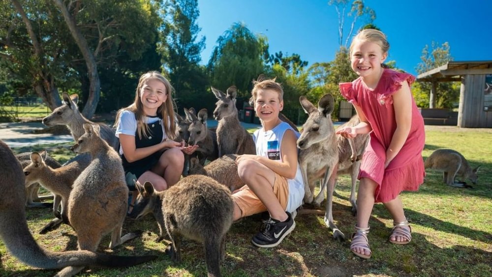 9 Best Sydney Wildlife Parks and Zoos to Visit - Klook Travel Blog
