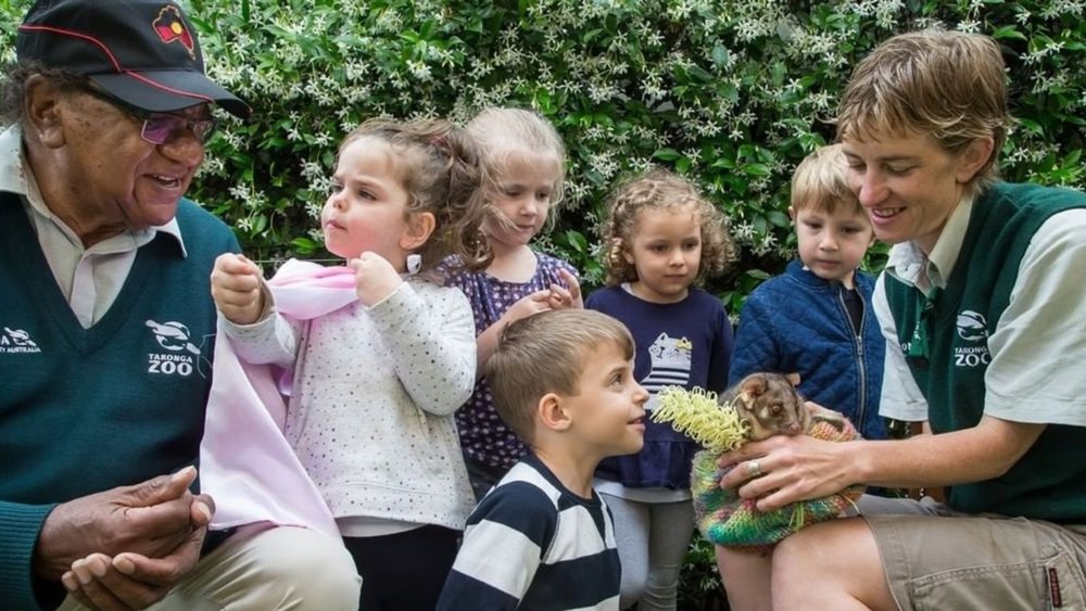  Let your kids learn about Australian wildlife at Taronga Zoo. Credits: @tarongazoo 
