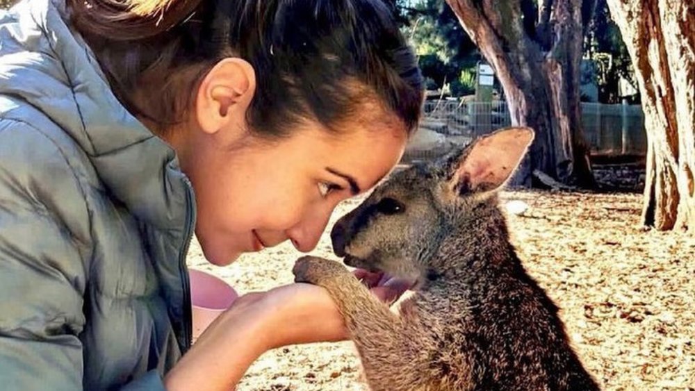  Connect with nature and wildlife at Featherdale Wildlife Park. Credits: @featherdalewildlifepark 