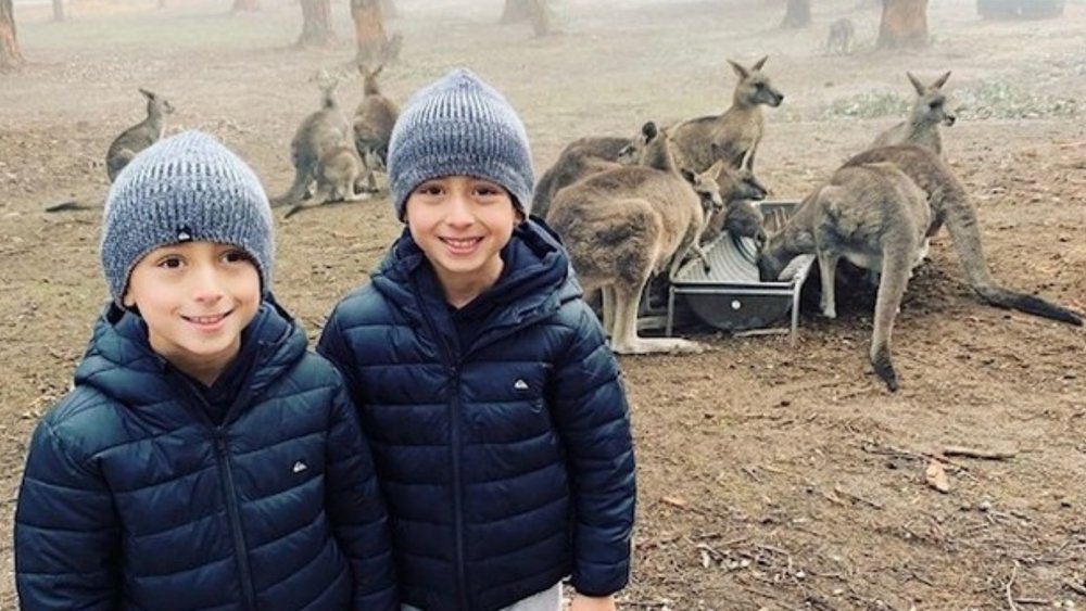 Be one with the wallabies! Image credits @gumbuya_world in Insgtram