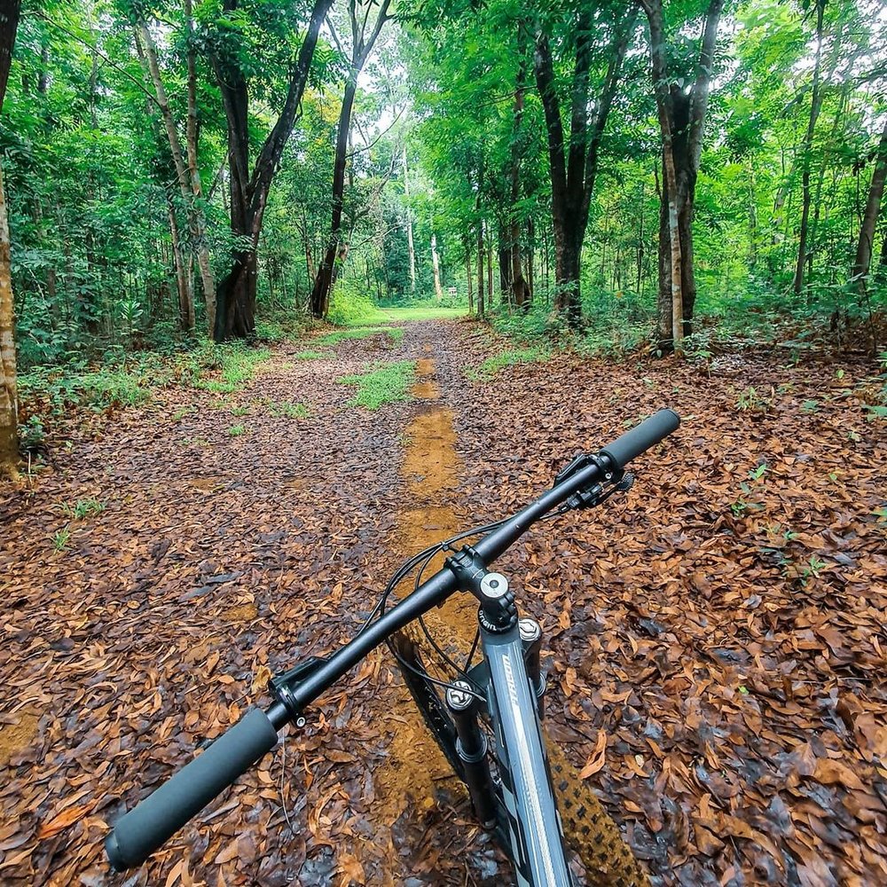 bike facing a trail at la mesa nature reserve
