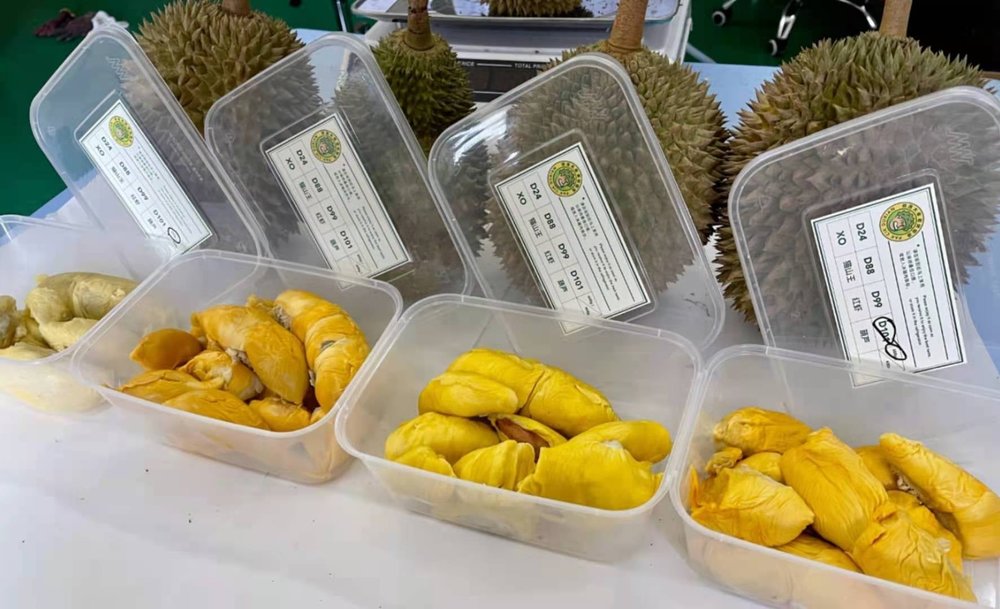 pak cik durian delivery online kl selangor malaysia