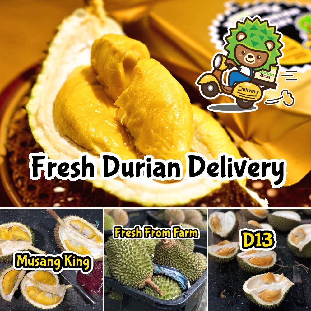 durian bear durian delivery online order kl selangor malaysia