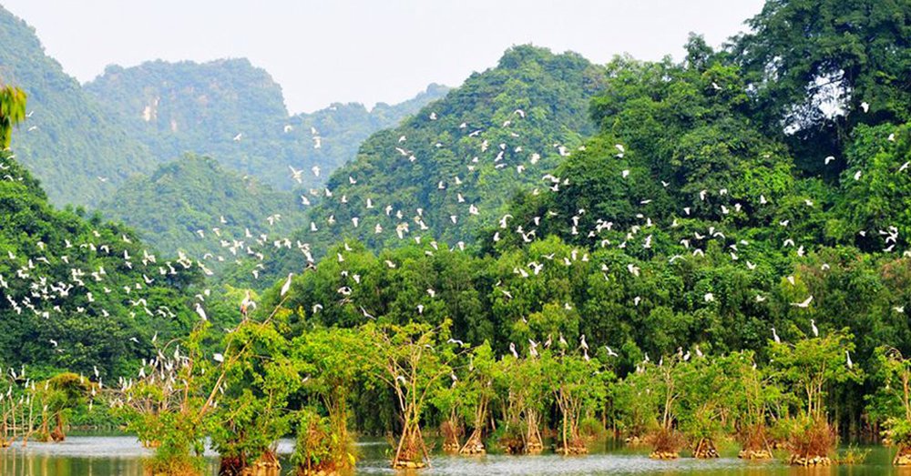 kinh-nghiem-di-ninh-binh-3-ngay-2-dem