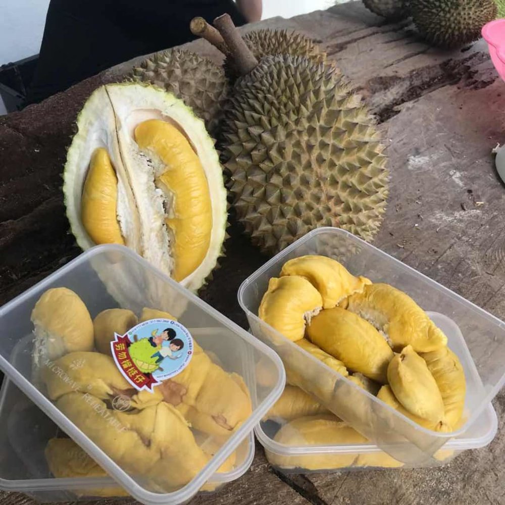 little durian boy durian delivery kl selangor klang valley
