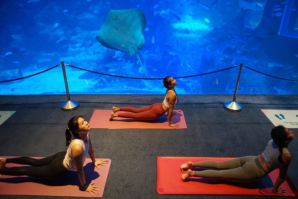 SEA Aquarium Yoga