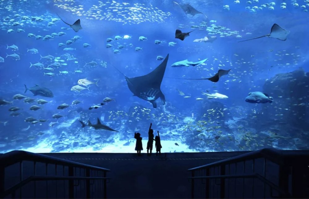singapore oceanarium klook