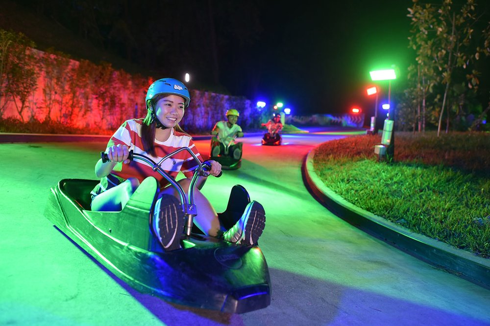 Skyline Luge Night Neon Tracks