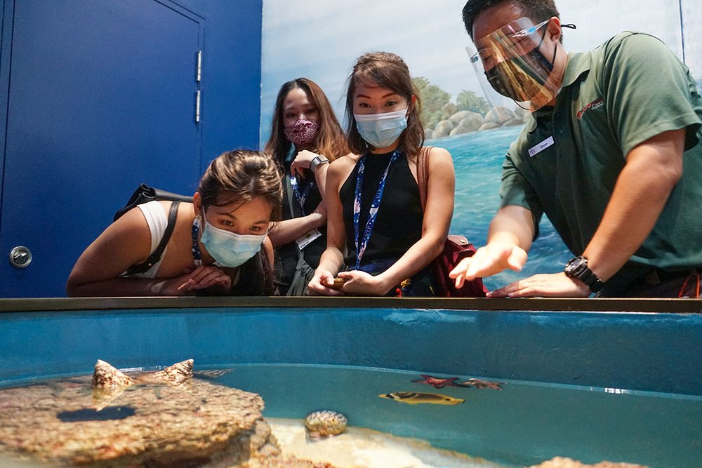 SEA Aquarium VIP Tour