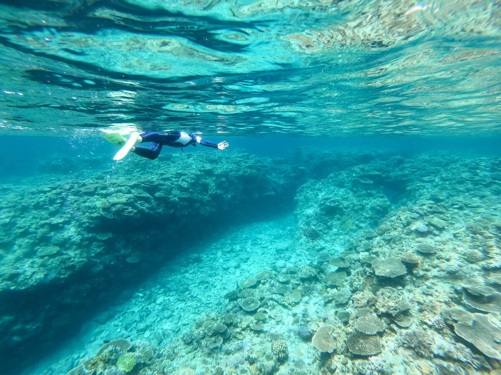 最後の最後までシュノーケリングを満喫