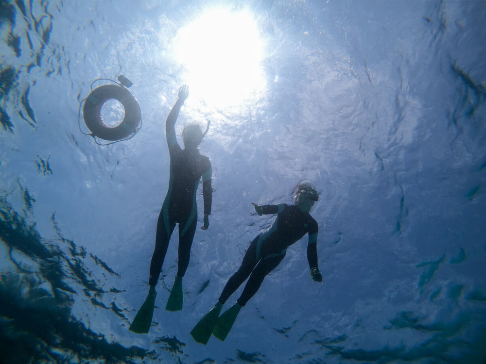 海の中から水面を見上げたショット