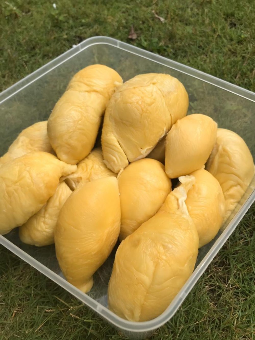 durian order online delivery kl malaysia mco pahang tras durian king