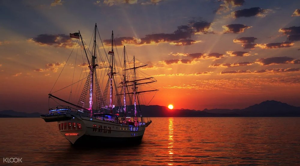 royal albatross sunset sail