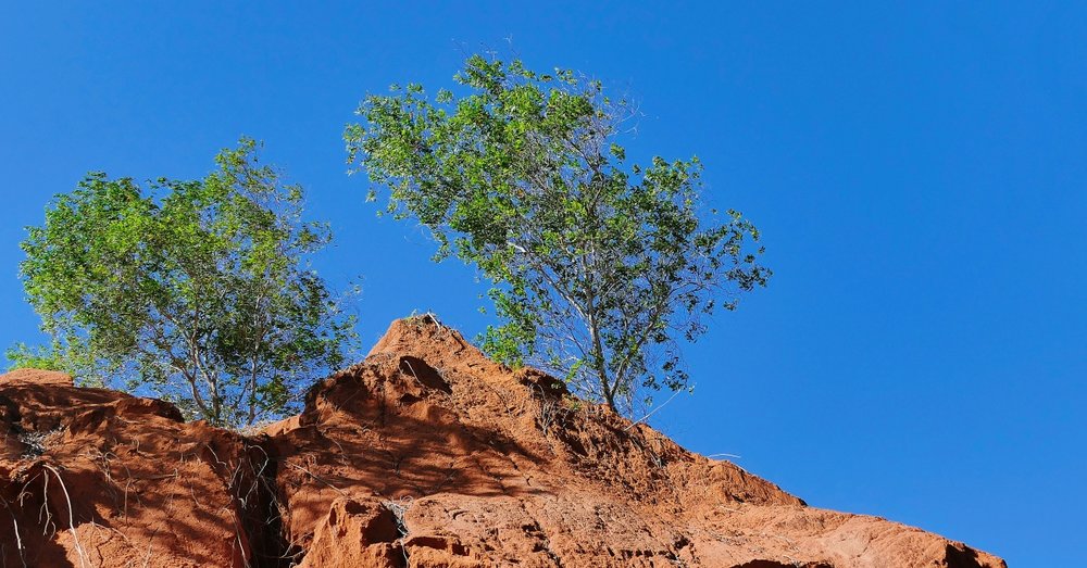 kinh-nghiem-di-phan-thiet-2-ngay-1-dem 