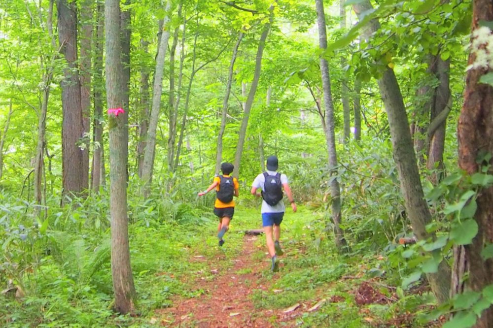 ルスツトレイル