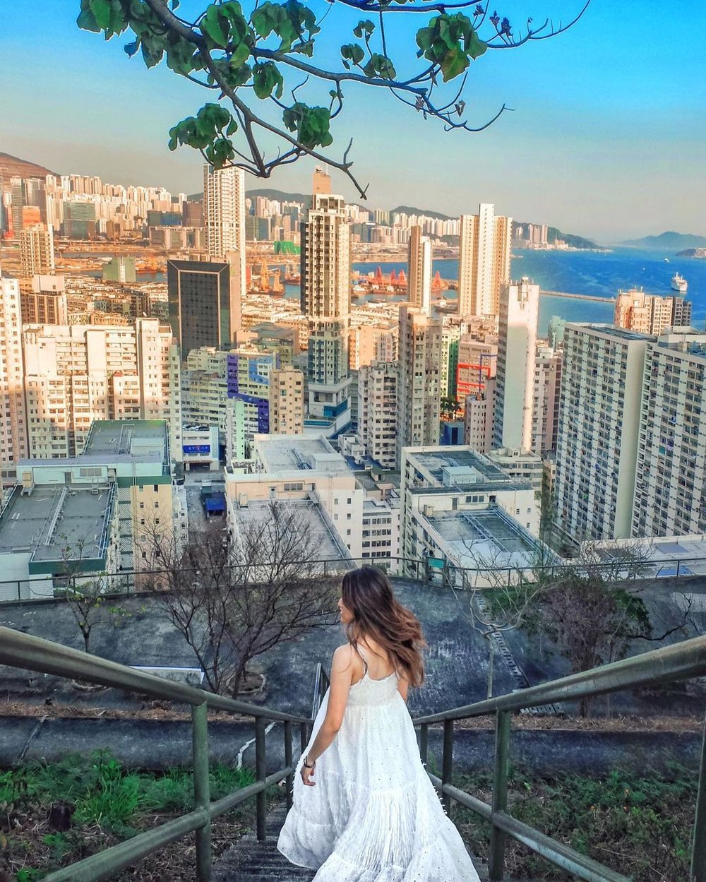 紅燈山 何文田配水庫 必到 打卡位 城景 海景