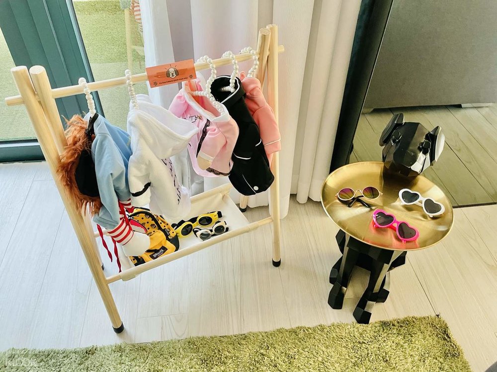 12 Best PetFriendly Hotels in Hong Kong for a “Pawsome” Staycation Klook Travel Blog