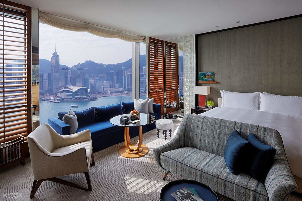 12 Best PetFriendly Hotels in Hong Kong for a “Pawsome” Staycation Klook Travel Blog