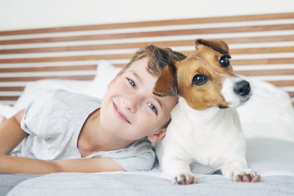 boy and dog on bed at urbanwood