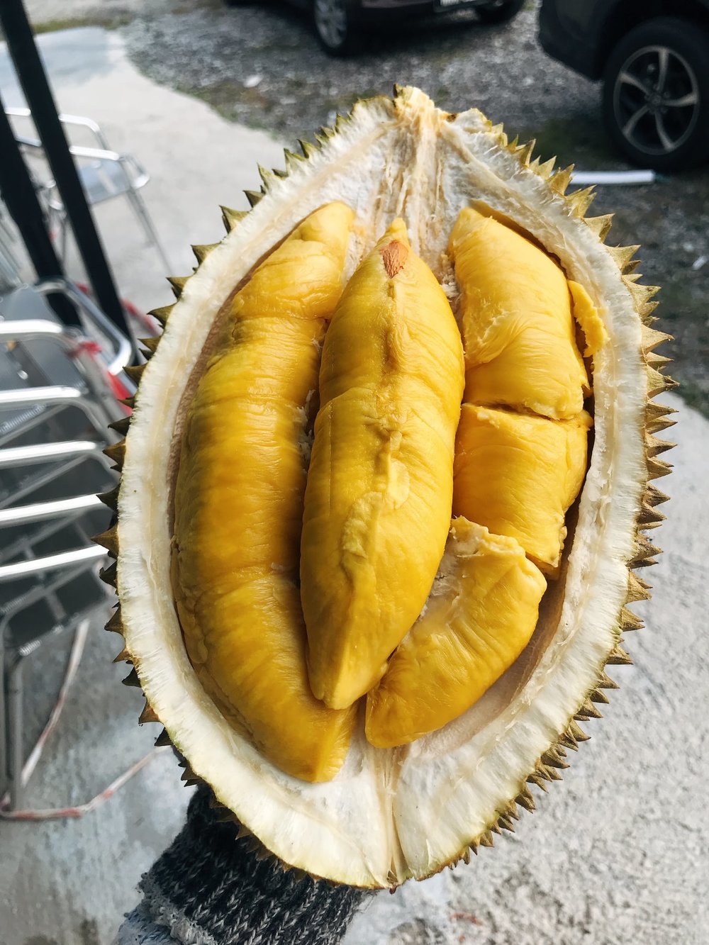 23 Best Durian Delivery Services In Klang Valley This MCO Klook