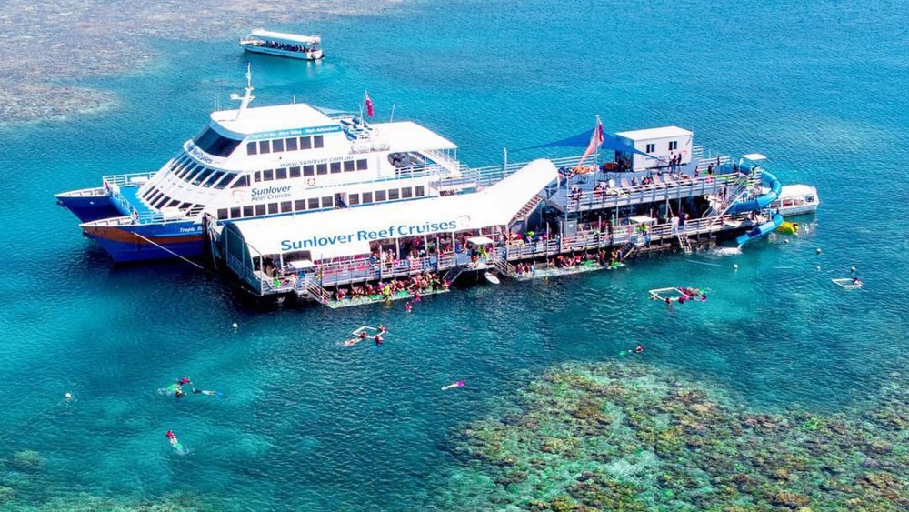 Witness the wonders of the Great Barrier Reef up close on this cruise! Image credits: @sunloverreefcruises on Instagram
