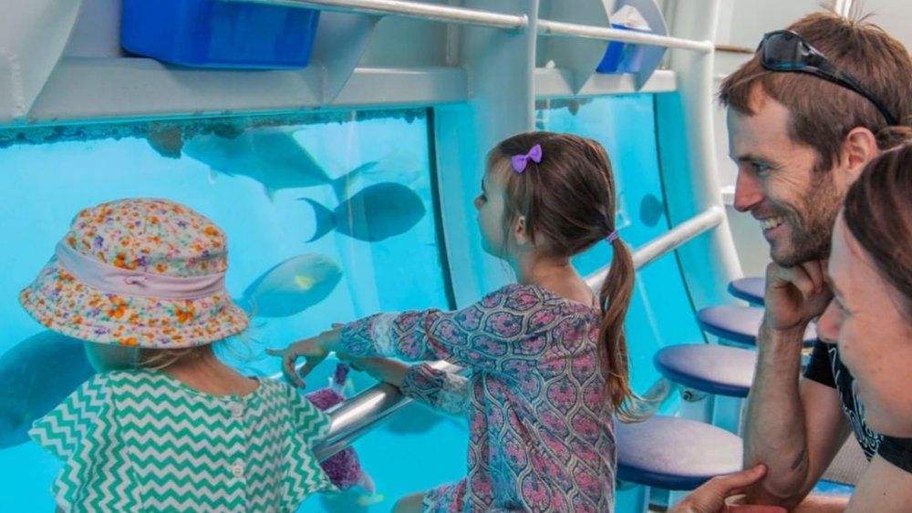 This semi-submersible tour lets you see the reef’s beauty up close, even if you’re not up for a swim Image credits: @sunloverreefcruises on Instagram