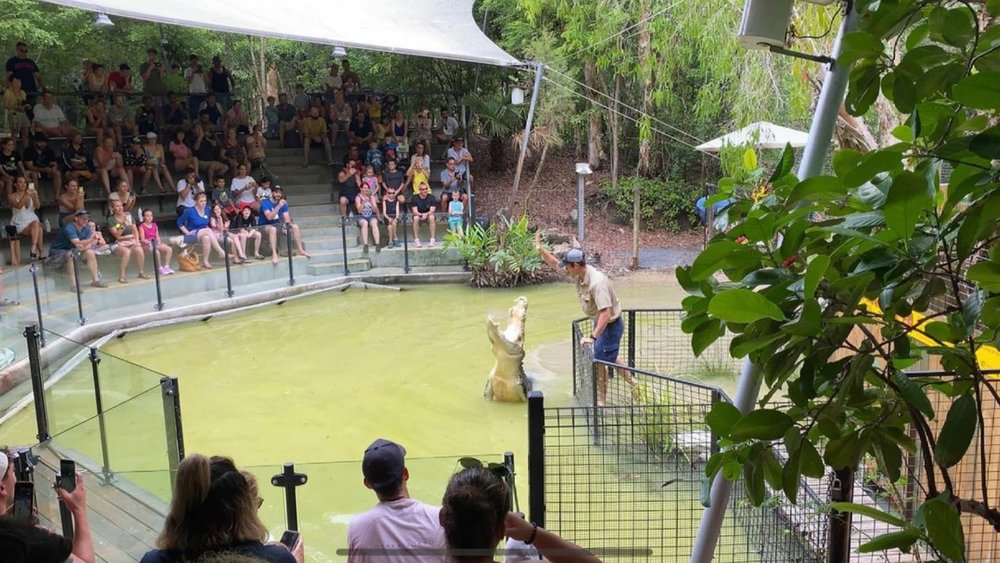 There are tons of things to do while at Hartley’s! Watch a croc show, for example. Credits: @seak.life