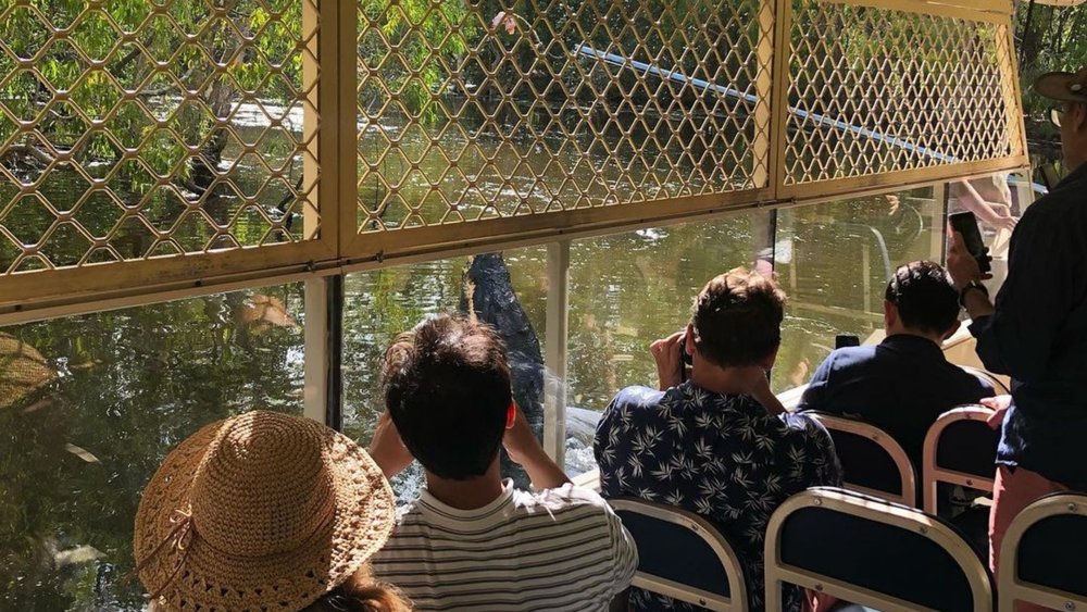 Keep your eyes peeled for the crocs! Credits: @hartleyscrocodileadventures