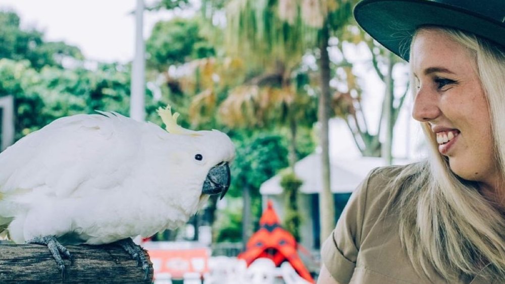 Interact with birds in their walk-through bird aviary. Credits: @hartleyscrocodileadventures
