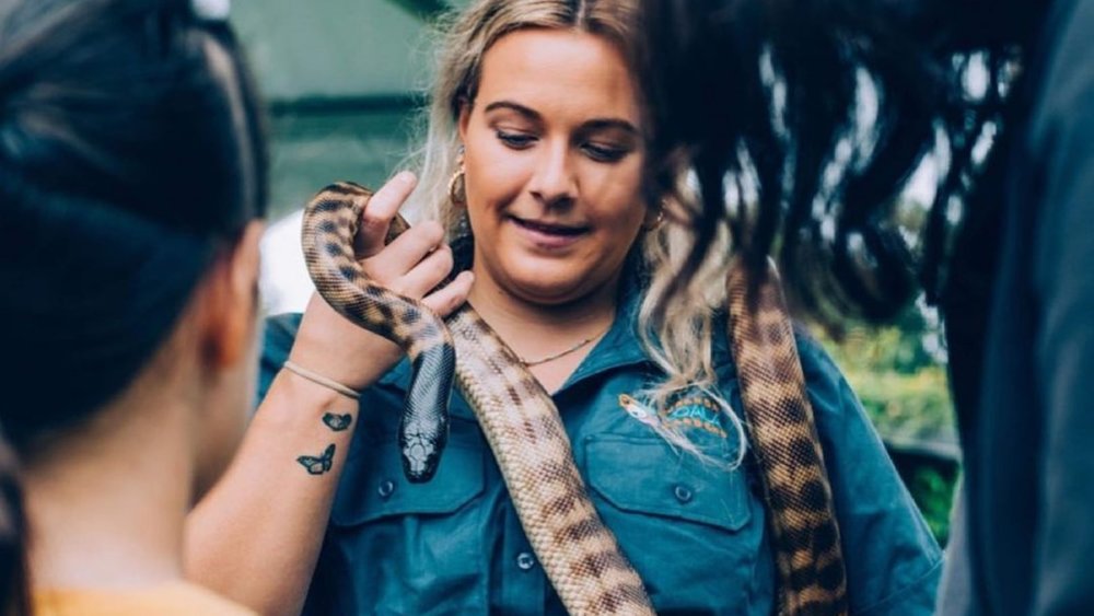 Interact with snakes and other reptiles. Credits; @hartleyscrocodileadventures