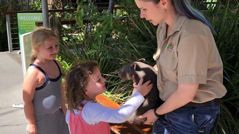 Kids will love interacting with the animals! Credits: @hartleycrocodileadventures