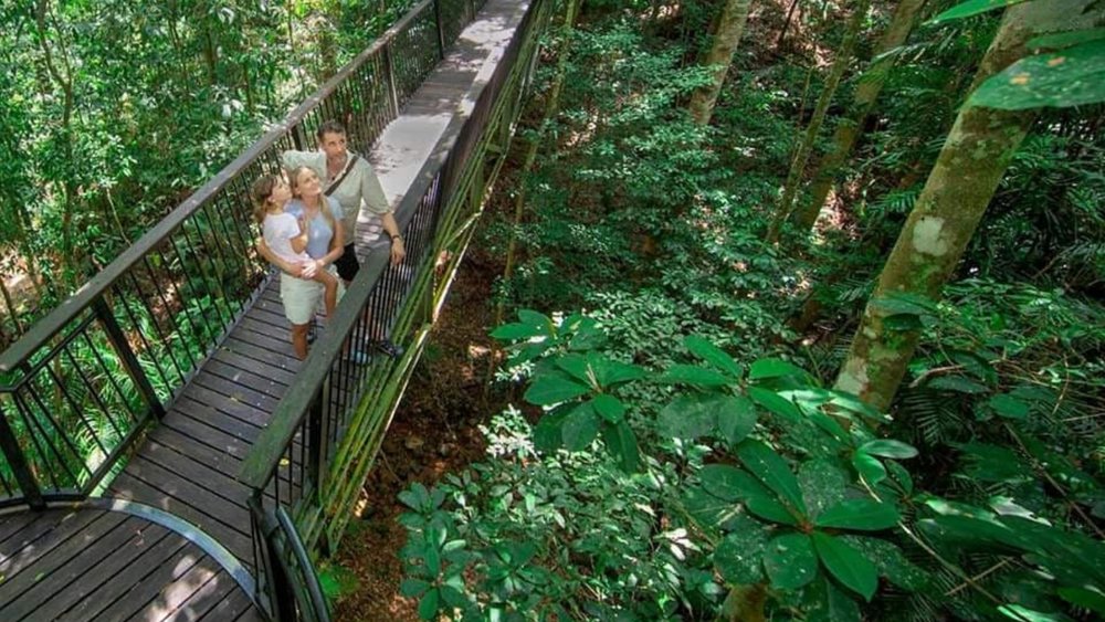 Breathe in the fresh rainforest air at Kuranda’s walking trails. Image credits: @kurandavillage on Instagram