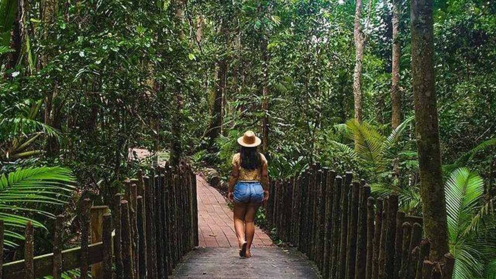 Walk along the forest trails and riversides of Kuranda. Image credits: @kurandavillage on Instagram