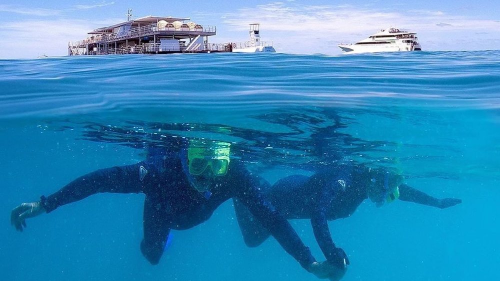 Why You Need To Book The Reefsleep Under The Stars Great Barrier Reef ...