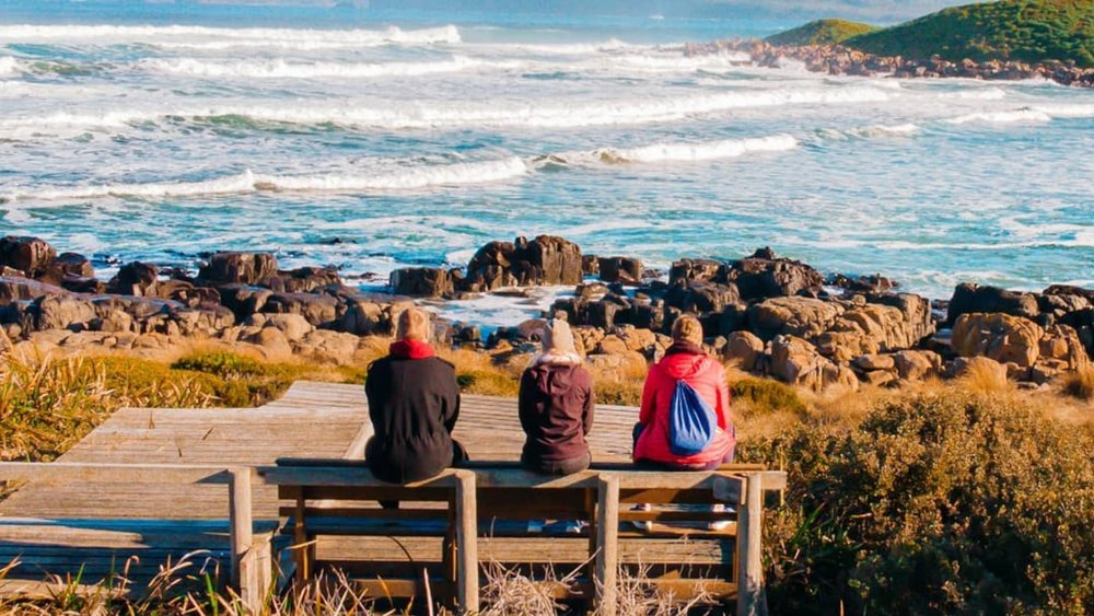 A fun-filled day awaits you at Bruny Island! Credits: @reisedachs_unterwegs