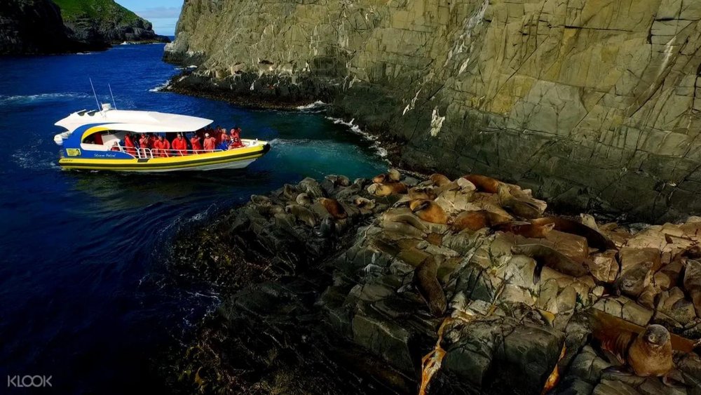 One of the best ways to tour Bruny Island is via a cruise!